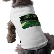 A wooden bench in the forest. dog t-shirt