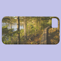 A wooden walkway in Acadia National Park Maine casemate cases