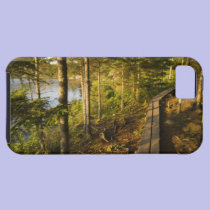 A wooden walkway in Acadia National Park Maine casemate cases