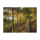 A wooden walkway in Acadia National Park Maine