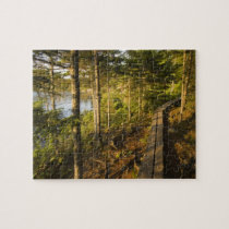 A wooden walkway in Acadia National Park Maine puzzles