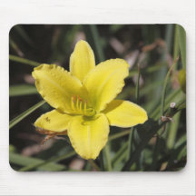 A Yellow Lily Mouse Pads