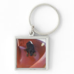 a young puppy sliding down a slide key chains