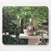 A Zen Garden Mousepad