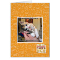 Aaaws Cards