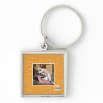 Aaaws Keychains