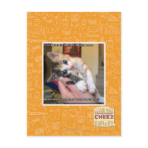 Aaaws Postcards