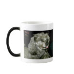 AAStamp1, John Doe Roescher Rules Coffee Mugs