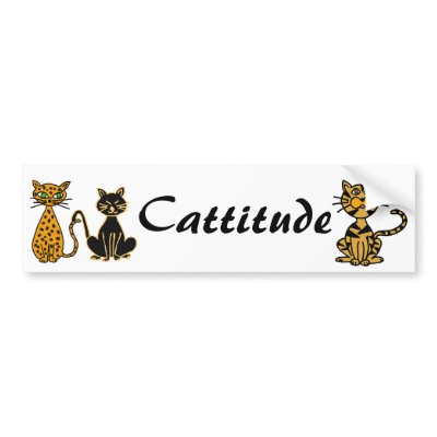 AB- Funny Cats Cattitude Bumper Sticker by inspirationrocks