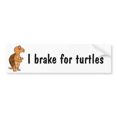 AB- I brake for turtles bumper sticker by inspirationrocks