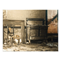 Abandoned Antique Furniture Photo Art