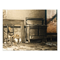Abandoned Antique Furniture Photo Art