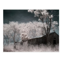 Abandoned Building Post Cards