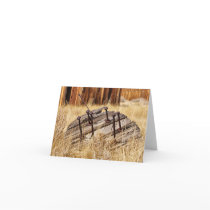 Abandoned Card
