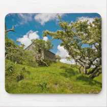Abandoned Farm Mouse Pad