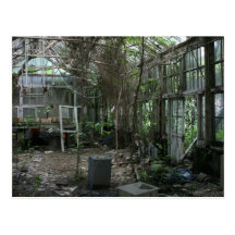 Abandoned greenhouse post card