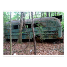 Abandoned Old Green Bus in the Woods Postcards