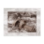 Abandoned Postcards