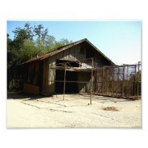 Abandoned Shed At The Old LA Zoo Photograph