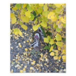Abandoned Shoes Photograph
