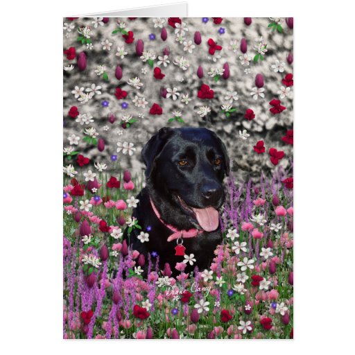 Abby en fleurs - chien noir de laboratoire carte de vœux
