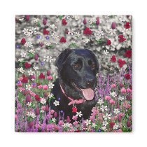 Abby in Flowers – Black Lab in Flowers Refrigerator Magnet