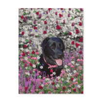 Abby in Flowers – Black Lab in Flowers Postcards