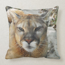 Abby Throw Pillows