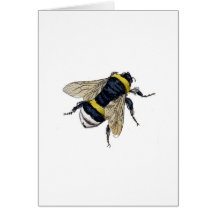 Abeille Carte