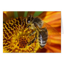 Abeille Carte De Vœux