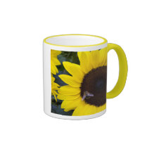 Abeille dans maman de tasse de tournesol la meille