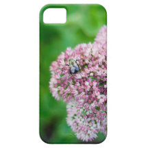 Abeille de photo de nature sur la fleur rose coque iPhone 5