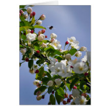 Abeille et fleurs cartes