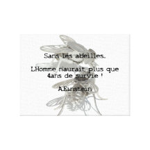 Abeilles - A.Einstein Impressions Sur Toile