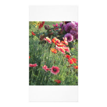 Abeilles en fleurs carte avec photo