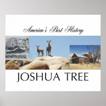 ABH Joshua Tree Poster