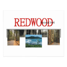 ABH Redwood Post Cards
