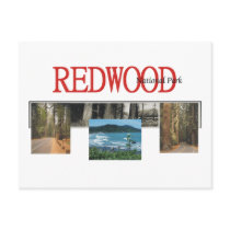 ABH Redwood Post Cards