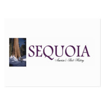 ABH Sequoia Business Cards