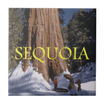 ABH Sequoia Ceramic Tiles