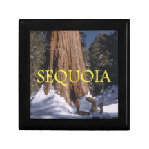 ABH Sequoia Keepsake Box
