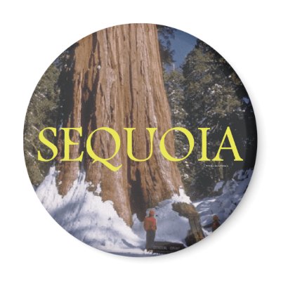 ABH Sequoia Magnets by teepossible