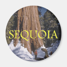 ABH Sequoia Magnets