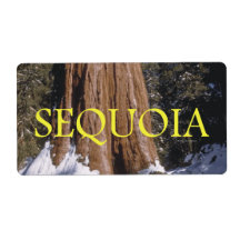 ABH Sequoia Personalized Shipping Label