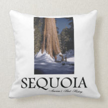 ABH Sequoia Pillows