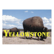 ABH Yellowstone Business Card