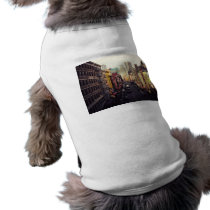 Above Chinatown Pet Clothing