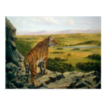 Above the tree tops, Bengal Tiger Postcard