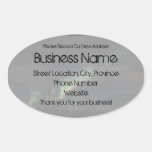 ABPAG Aurora Borealis Purple and Green Sticker