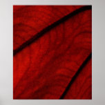 Abrégé sur rouge et noir Colocasia Poster